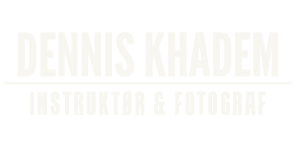 logo_dennis
