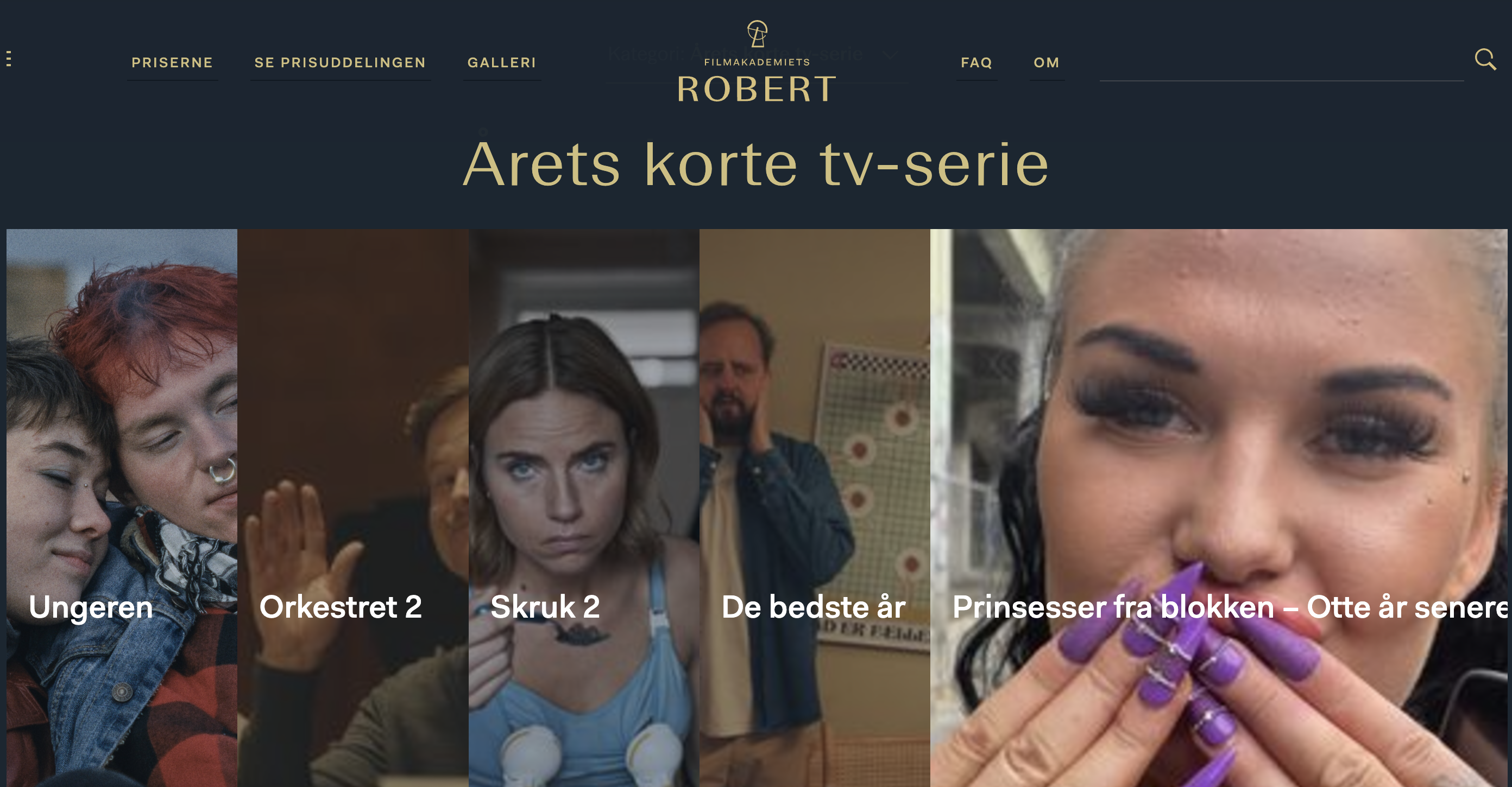 Skærmbillede 2025-01-11 kl. 15.42.56